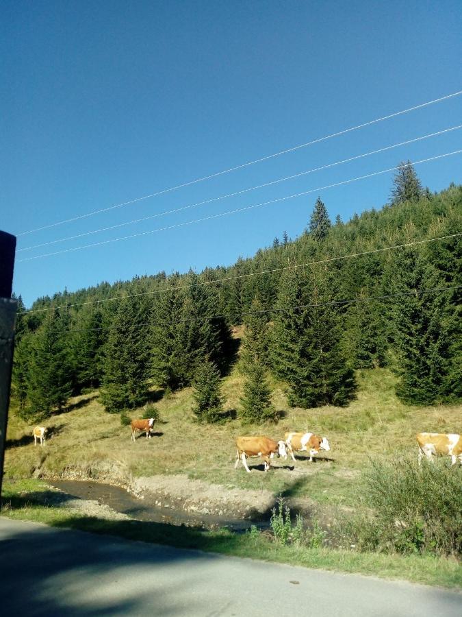 Willa Csillag Kulcsoshaz Gheorgheni  Zewnętrze zdjęcie