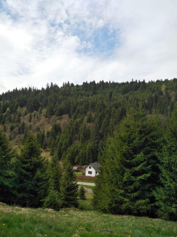 Willa Csillag Kulcsoshaz Gheorgheni  Zewnętrze zdjęcie
